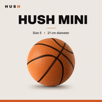 HUSH Silent Basketball view 4