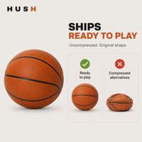 HUSH Silent Basketball view 3